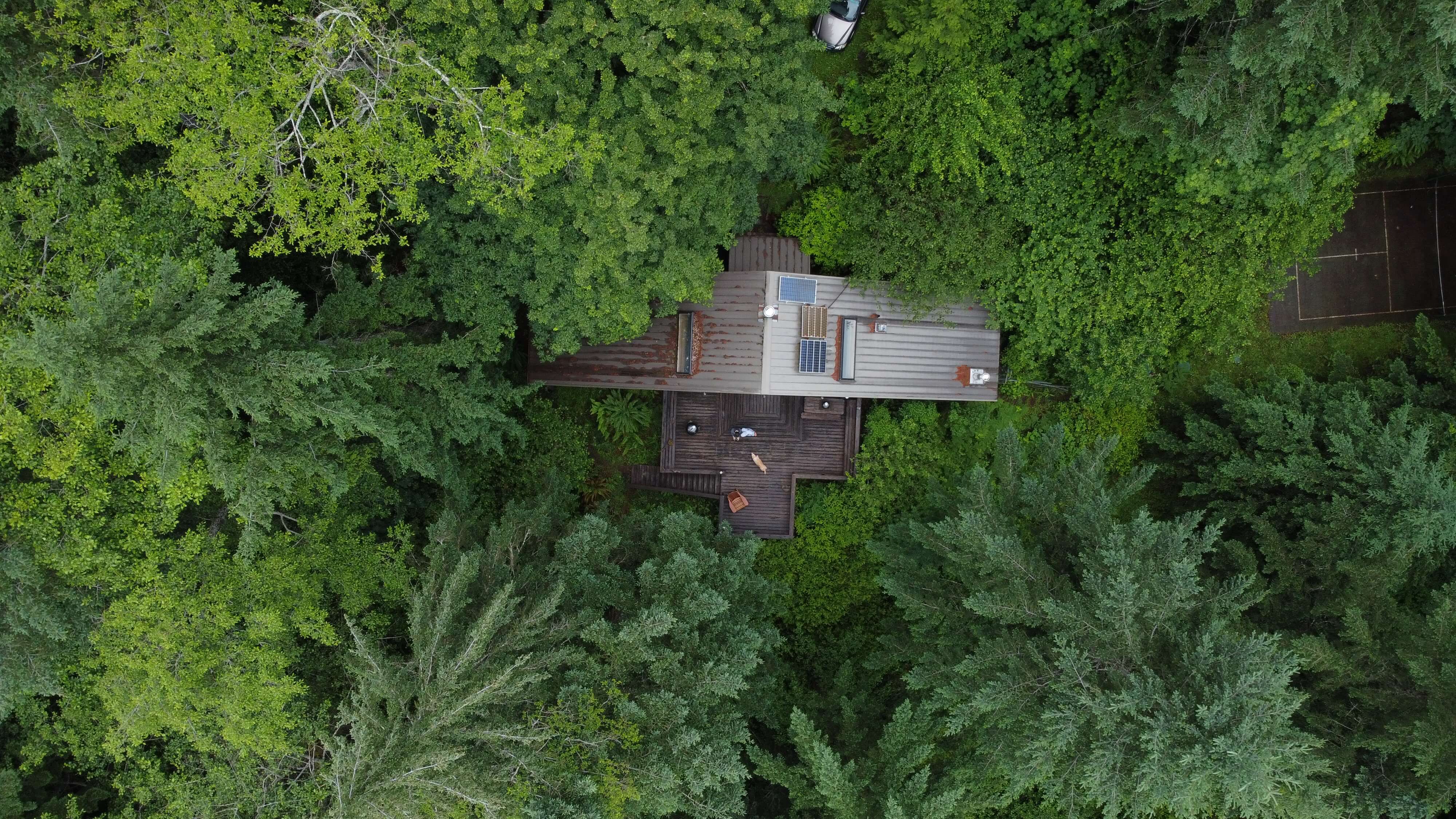 An aerial view of a cabin in a green woods.